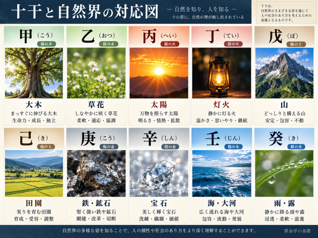 算命学の十干と自然界のイメージ対応図