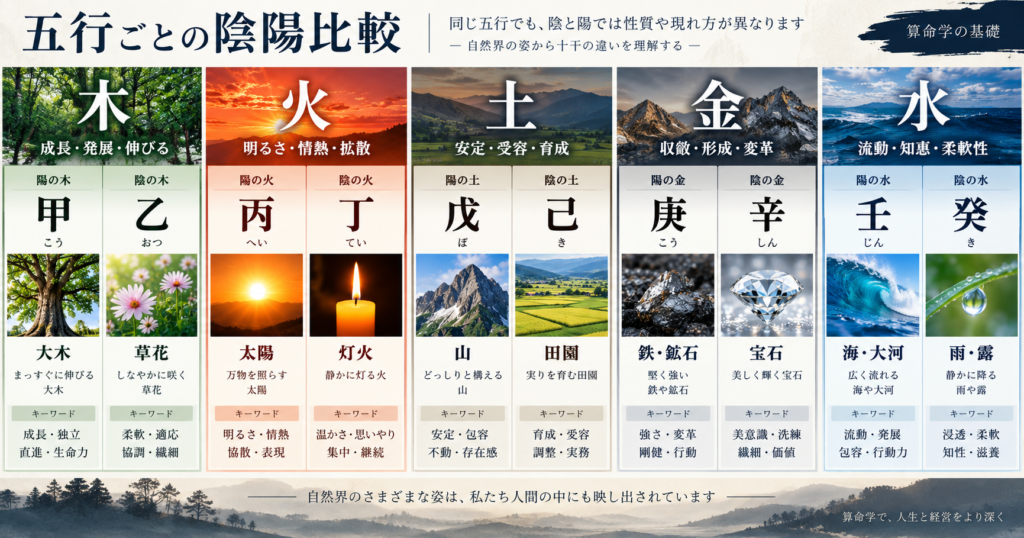 十干を五行ごとに陰陽で比較した図