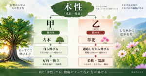 算命学の甲と乙、陽の木と陰の木の違い