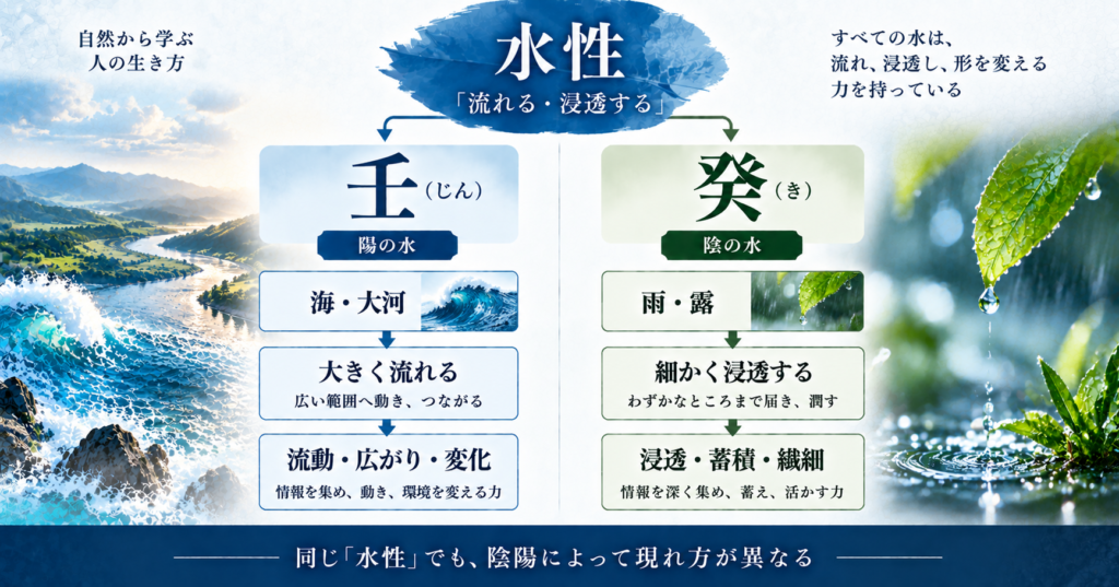 壬と癸の水性における働き方の違い